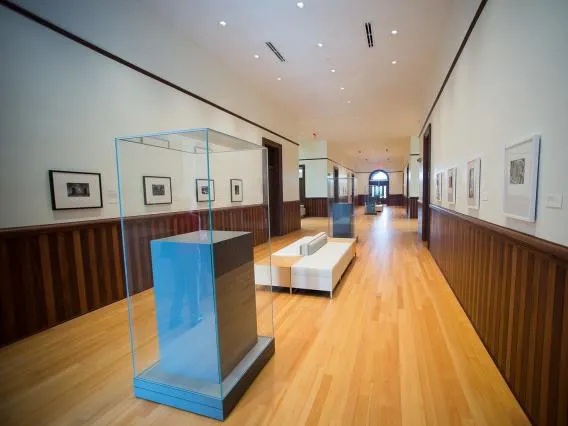Ambiguous room with museum-like display cases